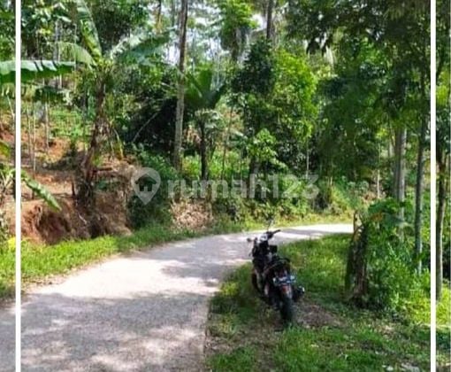 Invest Tanah Kebun MURAH Luas 5932 m2 Cianjur