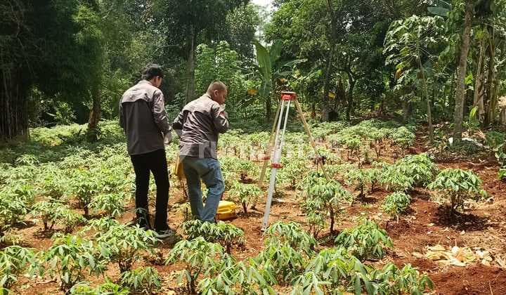 Dijual Cepat! Tanah 2.310 M² Parung Bogor - Siap Dikembangkan & Nego Sampai Deal