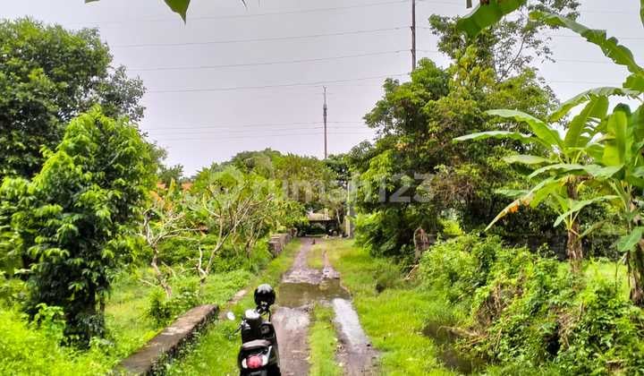 Tanah Kavling Strategis Kertalangu Dekat Sanur Denpasar Timur Bali
