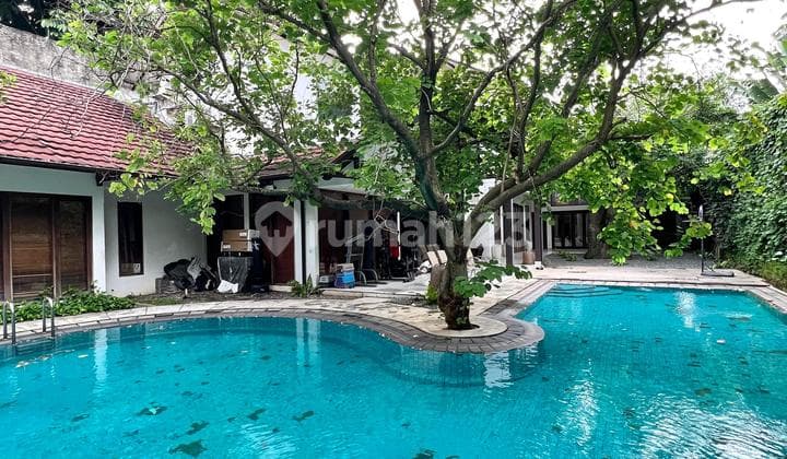 Rumah Cantik 1 Lantai Dalam Komplek Kemang Jakarta Selatan
