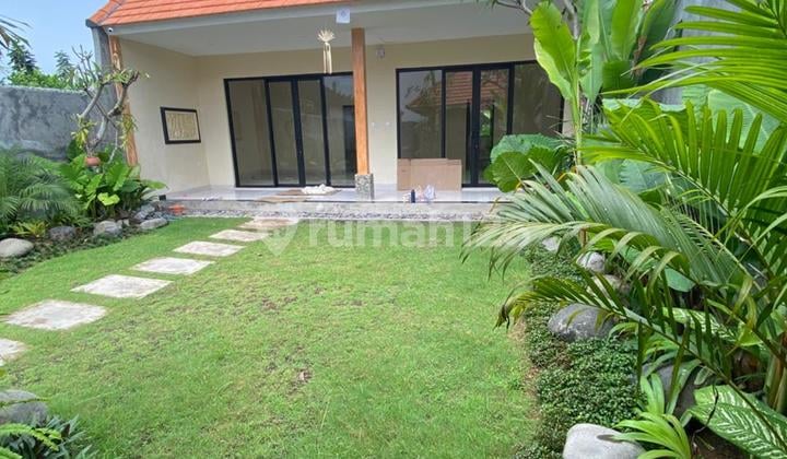Rent/ Villa for Rent Big Garden in Seseh Munggu Canggu Kuta Bali