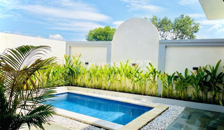 Rent/ Sewa New Villa At Canggu Kuta Bali Neal Umalas Berawa