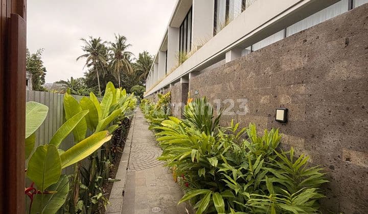 Rent/ Sewa Villa Murah At Pejeng Ubud Gianyar Bali