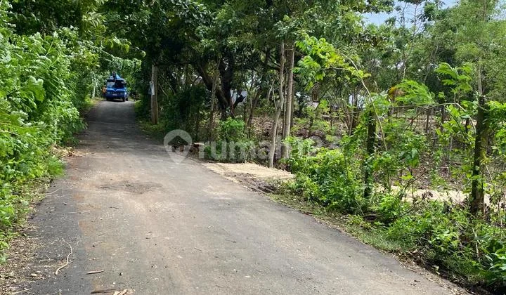 For Sale/ Cheap Land Near Pecatu Bali Close to Uluwatu