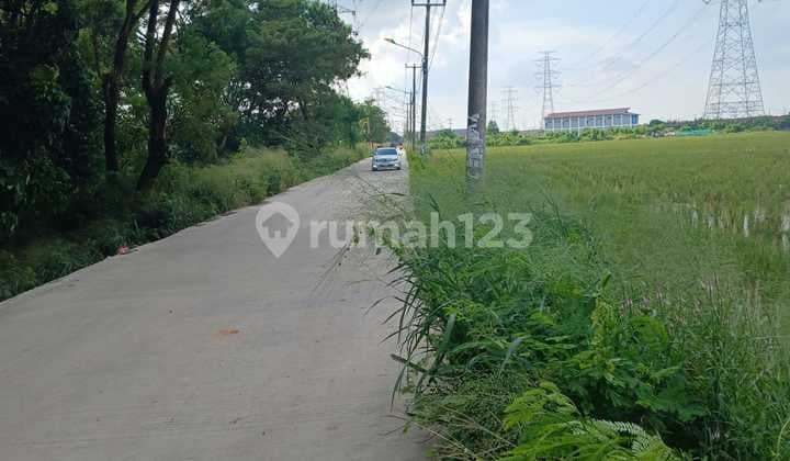 8500 m2 of rice field land in North Tambun, 1 km from the Gabus Tambun toll road