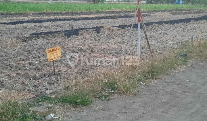 For Quick Sale by Mrs. Tanah Kavling Hadijaya, Beton Village, Menganti, Gresik.