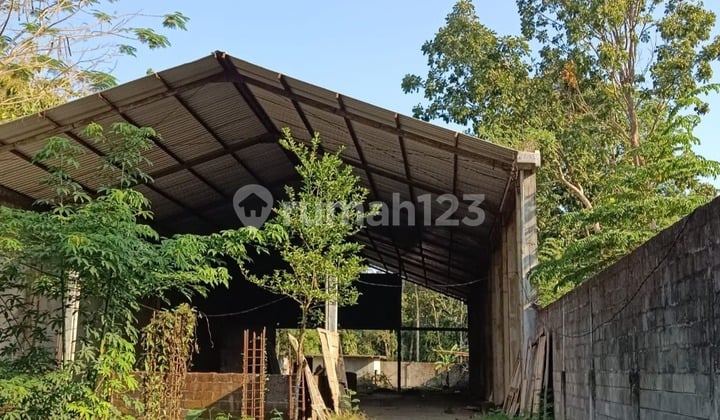 Langka! Tanah Komersial Kasongan SHM Bonus Gudang