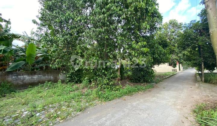 Jual Cepat Tanah Dalam Perkampungan Luas 166m2 Lebar Depan 23m Panjang 7m Cuma 230JT Nego di Klaten