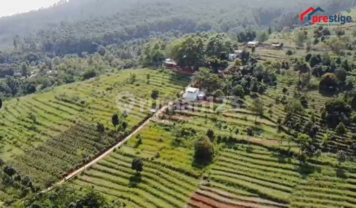 Di Tanah Exclusive Lokasi Strategis Dekat Dengan Gerbang Tol Cileunyi