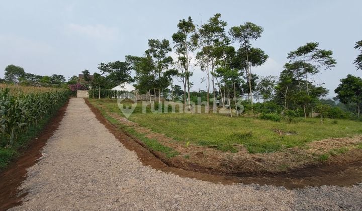 Kavling Murah Lokasi Strategis di Tanjungsari Sumedang