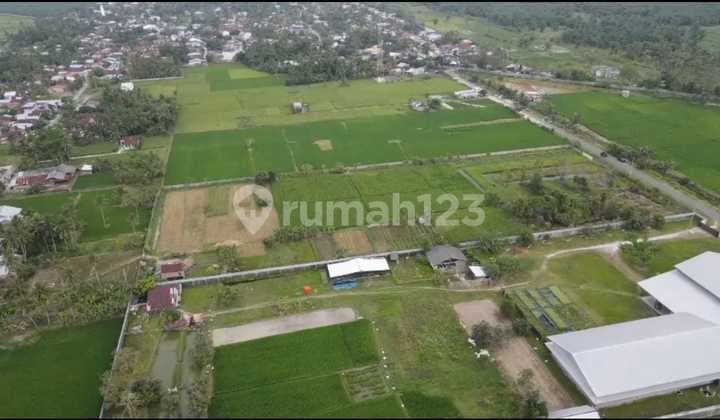 Dijual Sangat Murah Lahan Kosong Batang Kuis