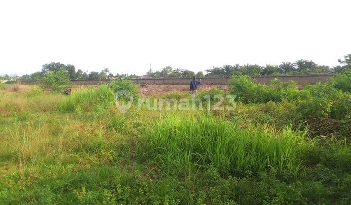 Dijual Tanah Daerah Saentis, Percut Sei Tuan