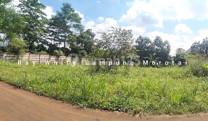 Dijual Tanah Jalan Pramuka LT 1154 meter harga terjangkau
