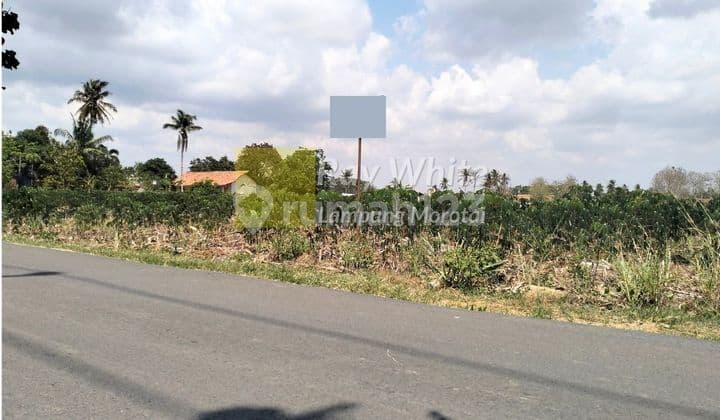 tanah cocok untuk perumahan lokasi natar