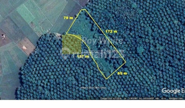 tanah kebun lokasi padang ratu lampung tengah