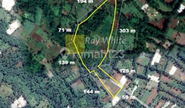 Tanah Kebun Desa Gisting tanggamus Bandar lampung