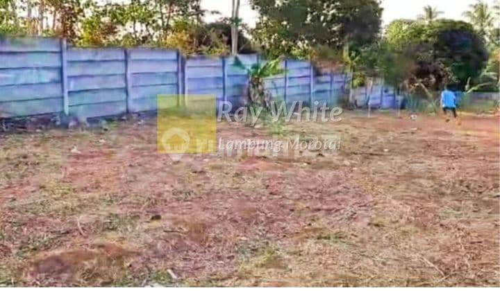 tanah untuk kost an lokasi dekat RS Pertamina rajabasa