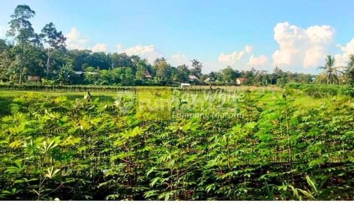 Tanah di Gedong Tataan Pesawaran Lampung