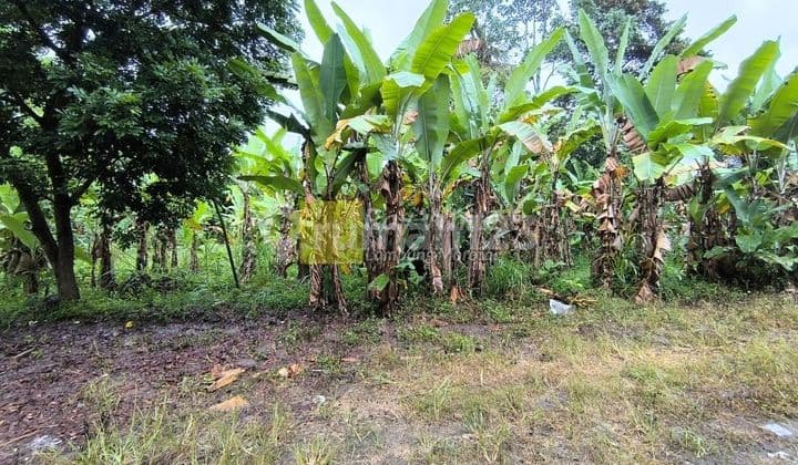Land for quick sale in Natar.
