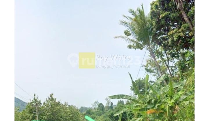 Dijual Tanah untuk villa View laut dekat Hurun Lampung