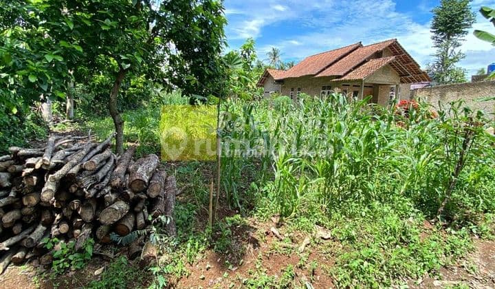 Tanah Murah di Karang Anyar , Jati agung , Lampung Selatan