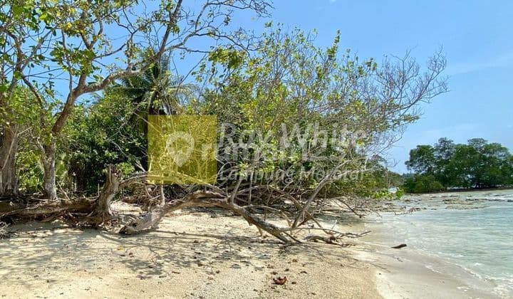 Tanah Pantai Di Pulau Pahawang Lampung