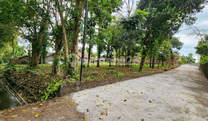 Tanah Pekarangan Cocok Untuk Homestay Atau Villa Di Candibinangun, Pakem Lingkungan Sejuk Dan Nyaman