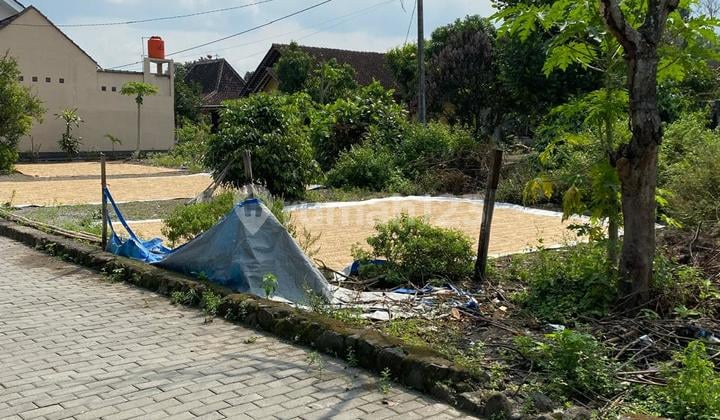 Tanah Pekarangan Bagus Di Tirtomartani, Kalasan Cocok Untuk Hunian