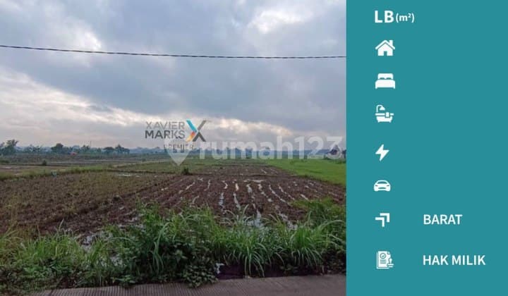 Jarang Ada Dijual Tanah Siap Bangun di Sekarpuro, Pakis Malang