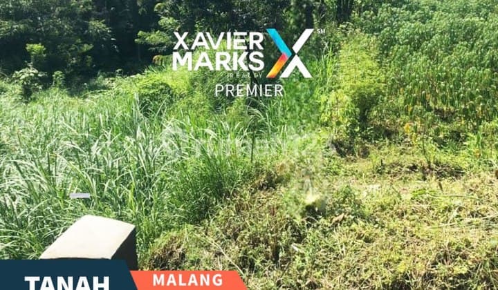 Strategic Land for Sale in Dau Malang, Suitable for Investors