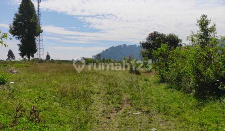 Tanah Untuk Investasi Pinggir Jalan Utama Gambung Ciwidey