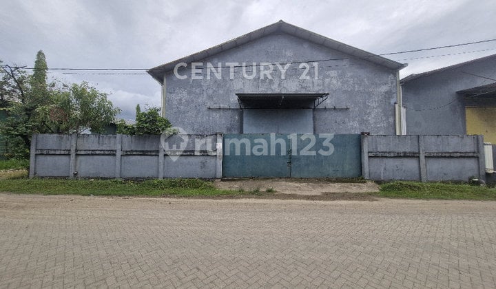 Gudang Siap Pakai Bebas Banjir Di Kawasan Parangloe Makassar