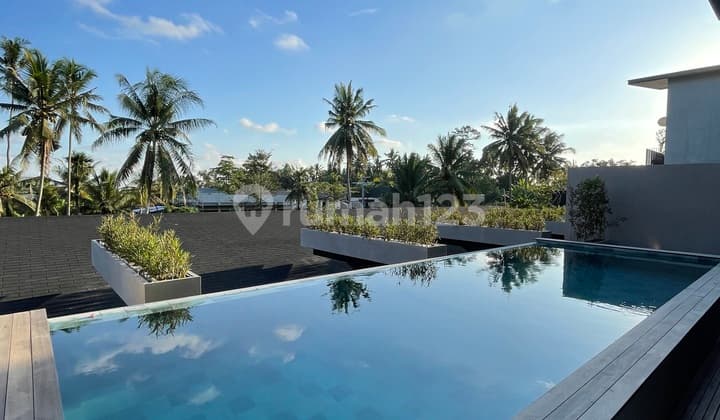 Brand New Villa 2br With Rice Fields View In Peliatan Ubud