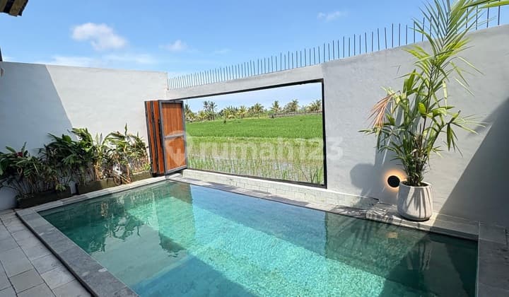 Furnished Villa with Rice Field Views Near Singapadu
