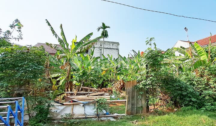 Kavling di Rengas Hadap Utara Dalam Komplek Jalan 2 Mobil