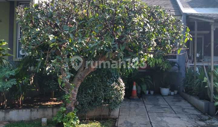 Cheap 1-Story House 2 Bedrooms Near Toll Road in Palem Semi