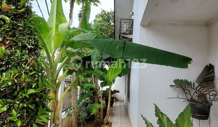 Dijual 1 Unit Rumah Lama Hitung Tanah Diduren Sawit Jakarta Timur