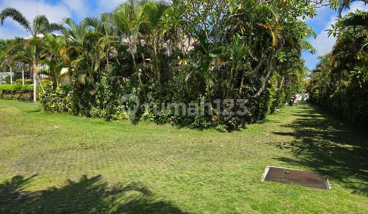 Premium Land for Sale in Ungasan - 125.5 Ares | Tourist Zone | Near Pecatu Graha & Dreamland