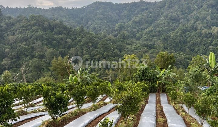 Dijual Tanah ******** ******** ********