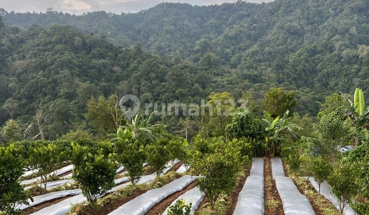 Dijual Tanah ******** ******** ********