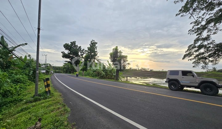 Dijua Tanah.murah View Sawah.akses Jalan Propinsi di Bali