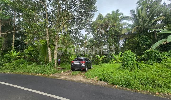 Dijual Tanah Kebun Zona Yellow di Tabanan