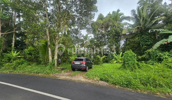 Dijual Tanah.murah Dekat Villa Puri Dajuma di Tabanan.bali