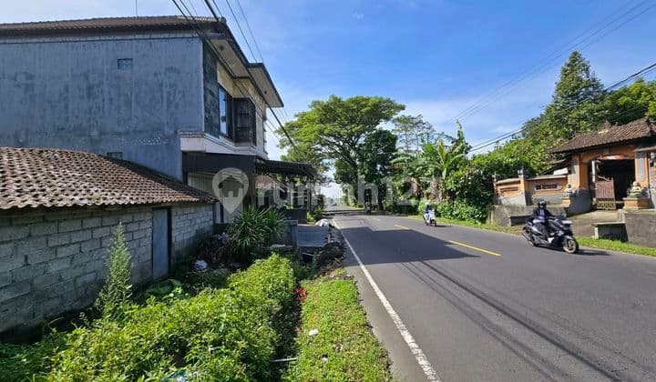 Dijual Tanah Premium di Pinggir Jalan Utama di Baturiti Bali