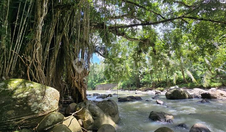 For Sale Cheap Rocky Riverbank Land in Tabanan Bali