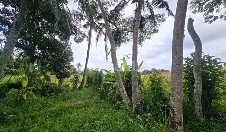 Dijual Tanah ******** di Tabanan Bali