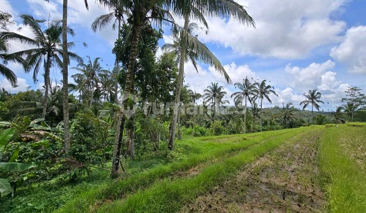 Land for sale: garden, rice field, and hill views in Tabanan, Bali.