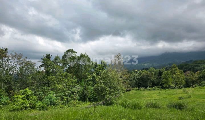 Cheap Mountain View Land for Sale in Bali