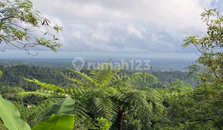 Dijual Tanah View Lembah dan Gunung di Tabanan Bali