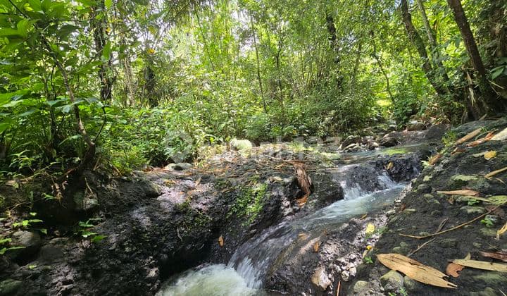Dijual Tanah Murah dengan Sungai di Tabanan Bali